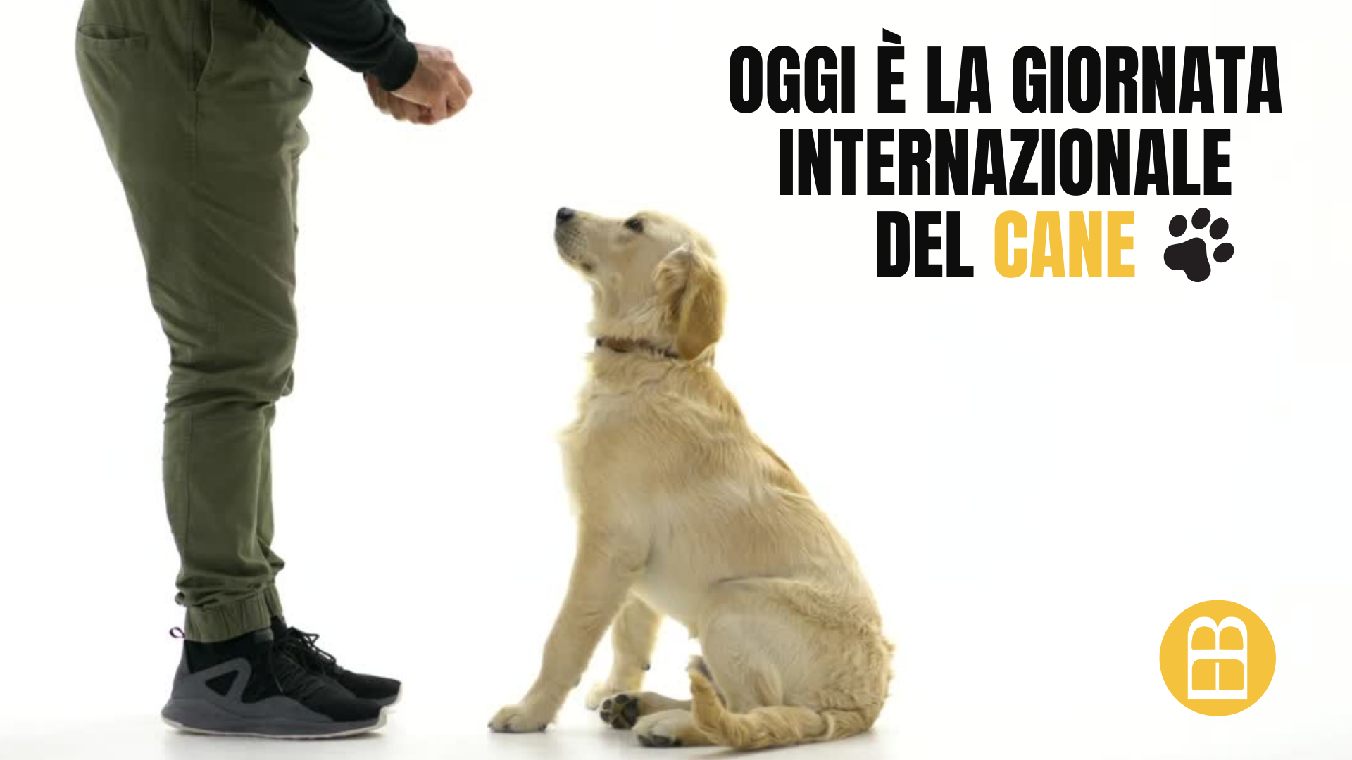 Giornata internazionale del cane